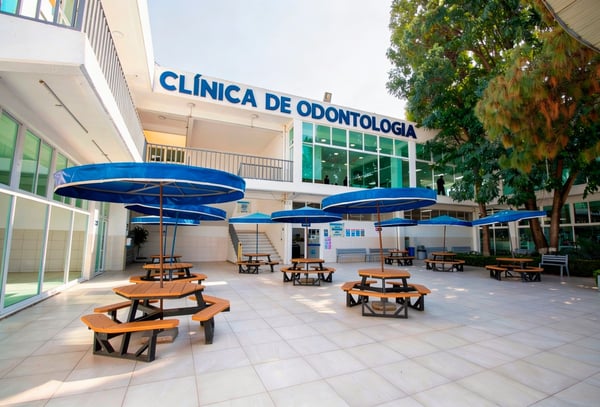 ODONTOLOGIA 2