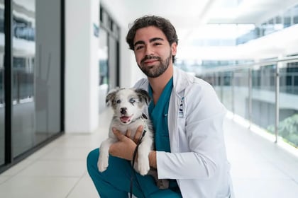 carrera-veterinaria