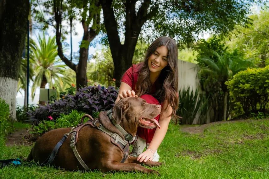 Veterinaria-mascota