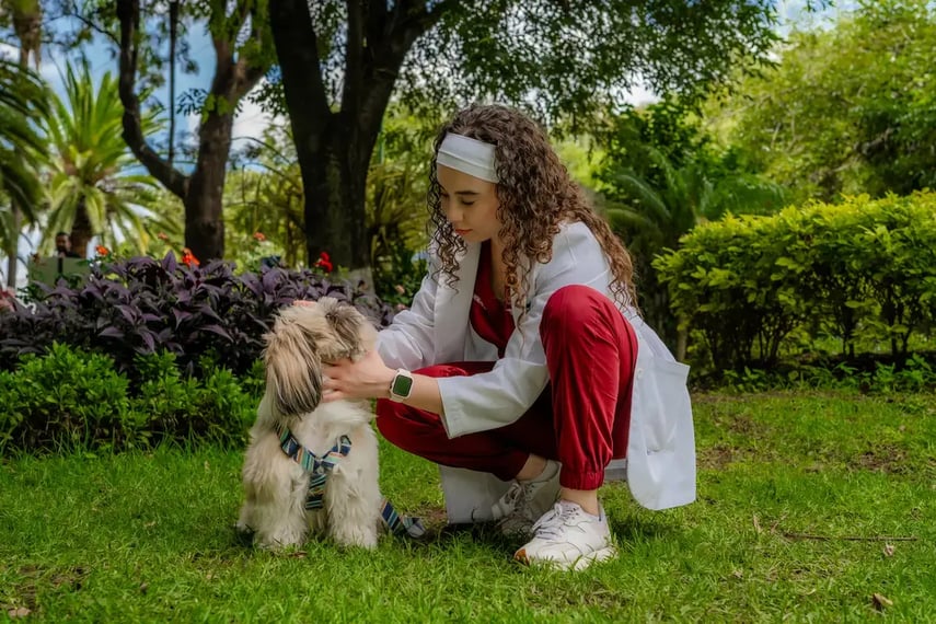 Veterinaria-parque