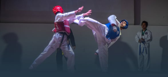 Taekwondo