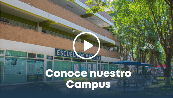 diplomado-en-auditoria-ambiental-thumb