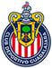 licenciatura-ejecutiva-en-ciencias-del-deporte-y-gestion-directiva-convenio-logo3
