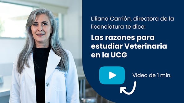 licenciatura-en-veterinaria-thumbnail-2